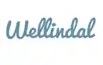 wellindal.fr